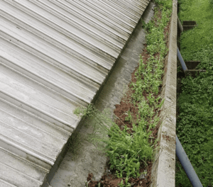 Happy customers in Hungerford who trust The Roof Moss Cleaners for gutter cleaning services