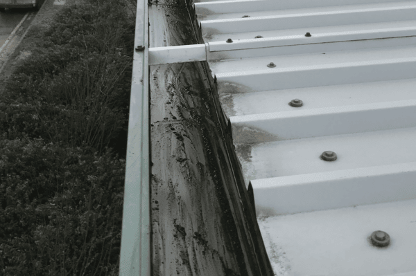 Commercial gutter cleaning specialists in Hungerford